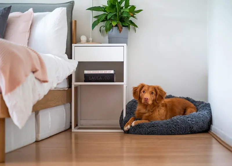 Furniture-style dog crate end table