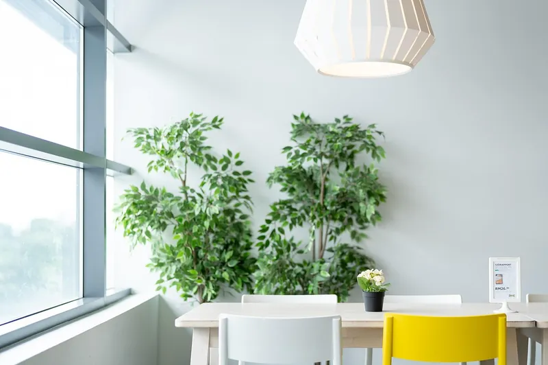 Crate and barrel dupes
