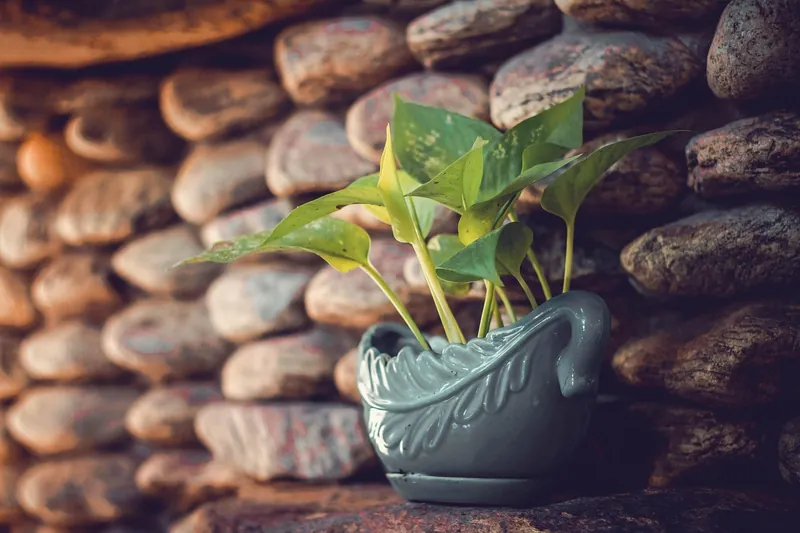 Hand-carved stone garden planters in marble and sandstone, made in Jodhpur, India