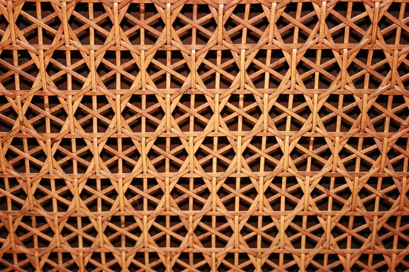 Rattan furniture
