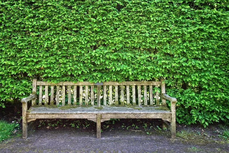 Bench