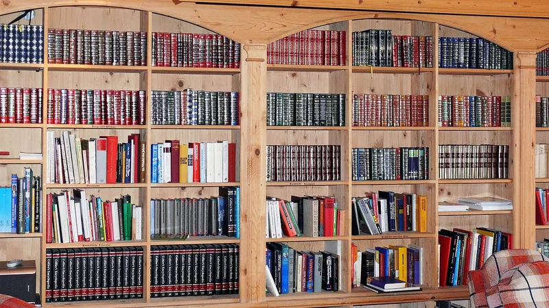 Scandinavian-style pale solid-wood bookshelf with tapered legs and clean minimal open shelving, handcrafted in Jodhpur, India