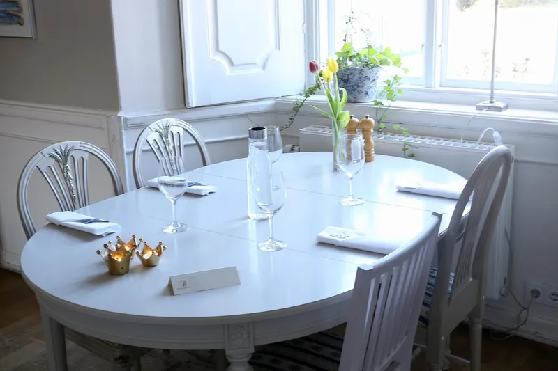 Scandinavian dining chair